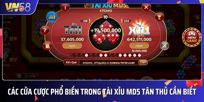 Người chơi nên tìm hiểu về các cửa cược trong môn tài xỉu 