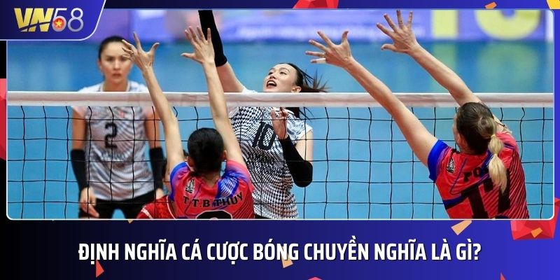 Cá cược bóng chuyền được nhiều bet thủ quan tâm