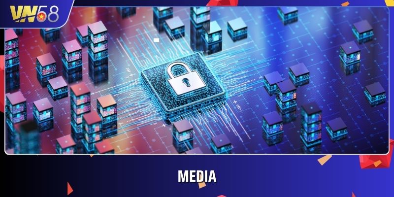 Media là tệp chứa dữ liệu và vị trí nhúng, đây cũng là thông tin được VN58 thu thập