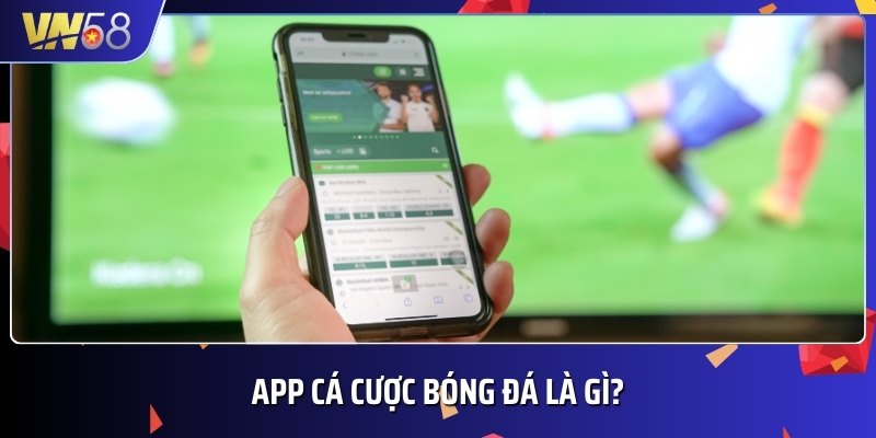 App cá cược bóng đá là ứng dụng giải trí được nhiều người tin dùng